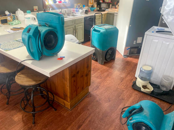 Best Sewage cleanup and water damage restoration  in San Juan Pistrano, CA