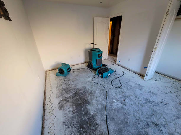 Best Water damage restoration near me  in San Juan Pistrano, CA