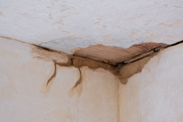 Professional Water damage restoration in San Juan Capistrano, CA