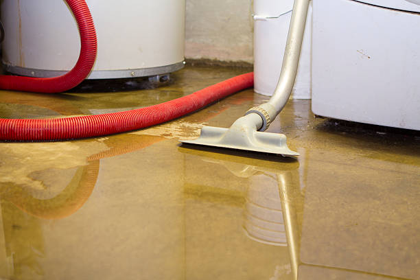 Best Residential water damage restoration  in San Juan Pistrano, CA